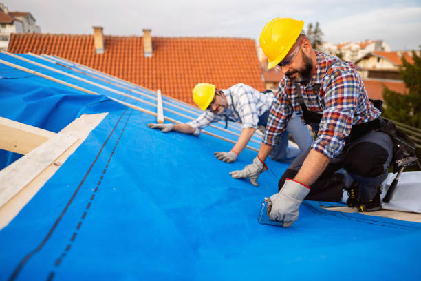 Best Roof Waterproofing Services  in Rossvle, IL